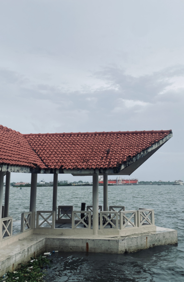 I am the best freelance digital marketing specialist in Malappuram