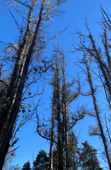 I am the best freelance digital marketing specialist in Malappuram